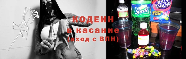 стафф Каменногорск