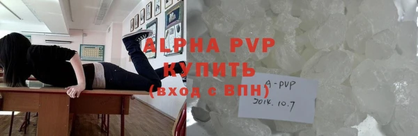 стафф Каменногорск