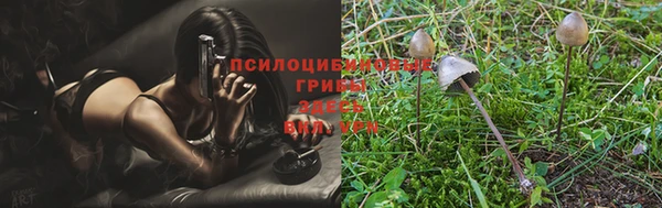 MDMA Premium VHQ Каменск-Шахтинский
