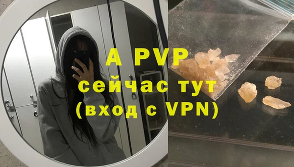 стафф Каменногорск