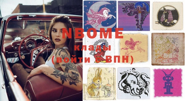 стафф Каменногорск