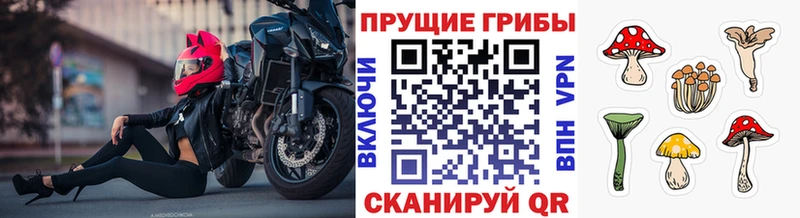 Псилоцибиновые грибы мухоморы Куровское
